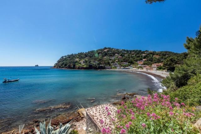 Appartement "Le Fabregas" 4 Pers Vue Mer La Seyne-sur-Mer Εξωτερικό φωτογραφία